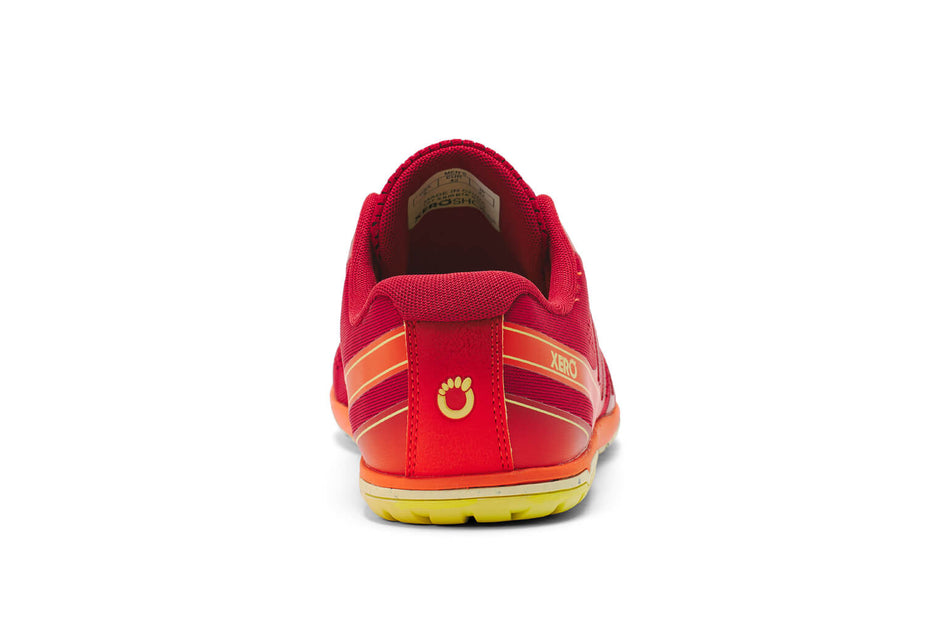 hfs ii – leichter road runner